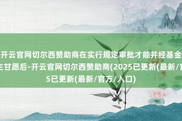 开云官网切尔西赞助商在实行规定审批才能并经基金托管东谈主甘愿后-开云官网切尔西赞助商(2025已更新(最新/官方/入口)