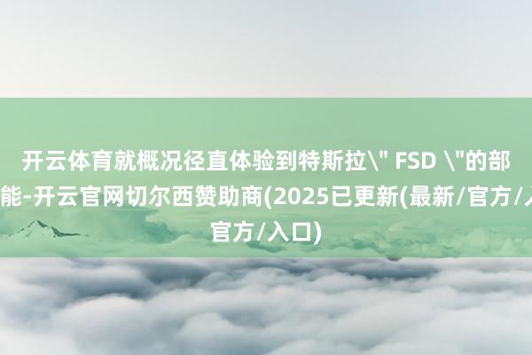 开云体育就概况径直体验到特斯拉