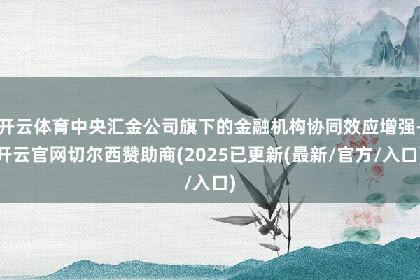 开云体育中央汇金公司旗下的金融机构协同效应增强-开云官网切尔西赞助商(2025已更新(最新/官方/入口)
