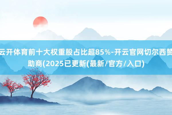 云开体育前十大权重股占比超85%-开云官网切尔西赞助商(2025已更新(最新/官方/入口)